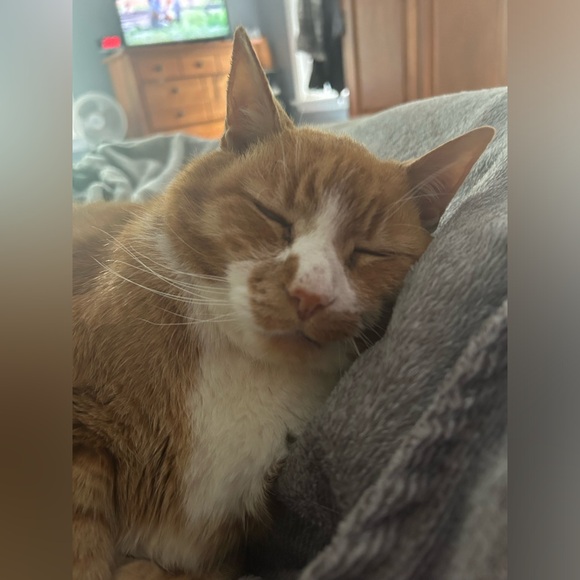 Meet your Posher, Bryn - Picture 9 of 16